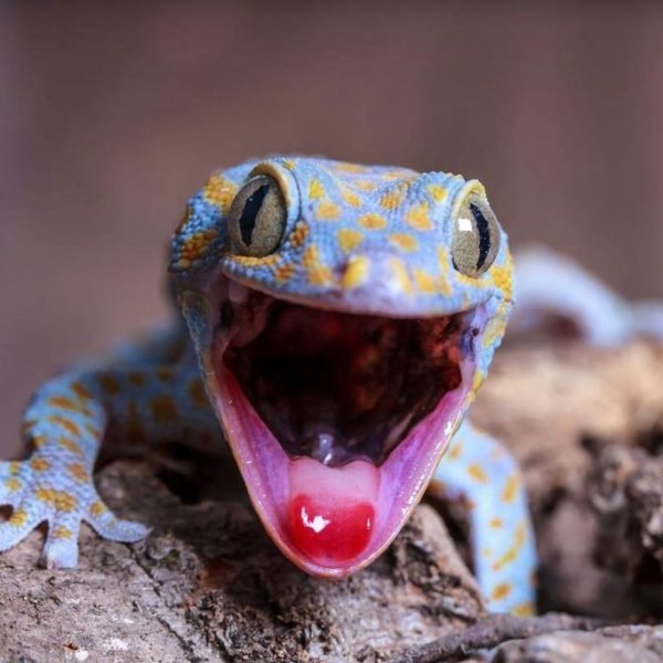 Как принять решение об участии в&nbsp;конкурсе