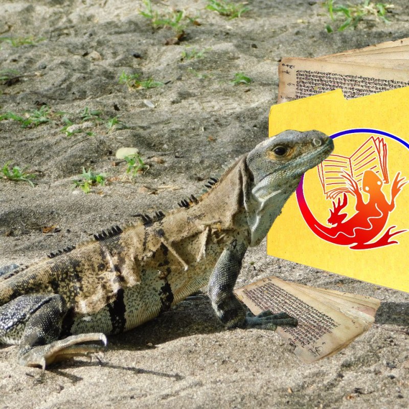 Быть рядом с детьми: Конкурс «Короткий список, или Саламандра» назвал 25 лучших&nbsp;текстов